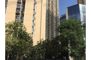 房屋建筑項(xiàng)目三